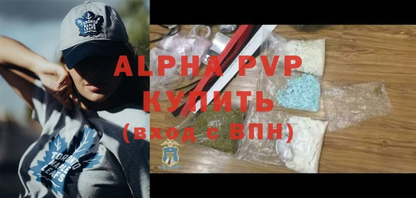 гашик Алексин