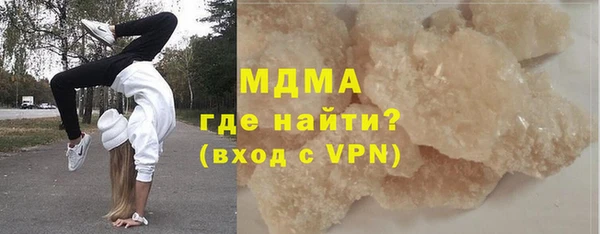 гашик Алексин