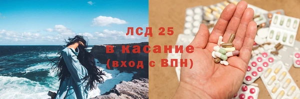 PSILOCYBIN Алзамай
