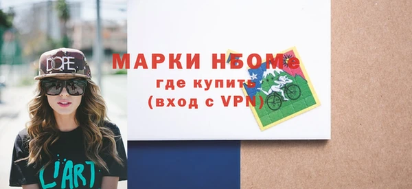 гашик Алексин