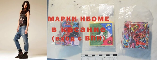 гашик Алексин