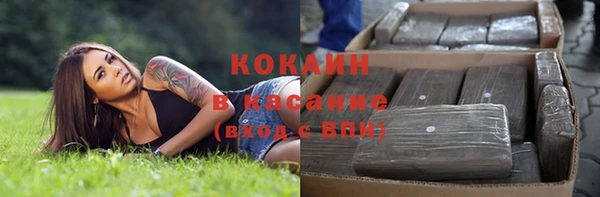 гашик Алексин