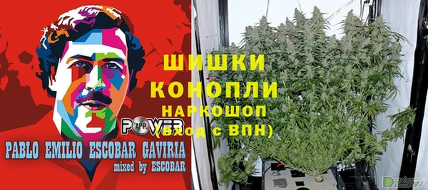 гашик Алексин