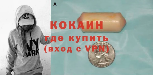 гашик Алексин