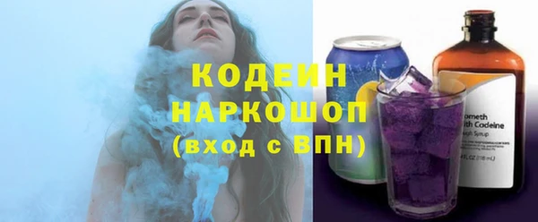 гашик Алексин