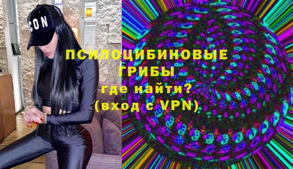 гашик Алексин