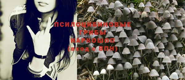 PSILOCYBIN Алзамай