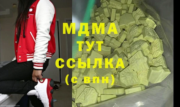 гашик Алексин