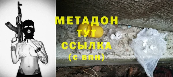 PSILOCYBIN Алзамай