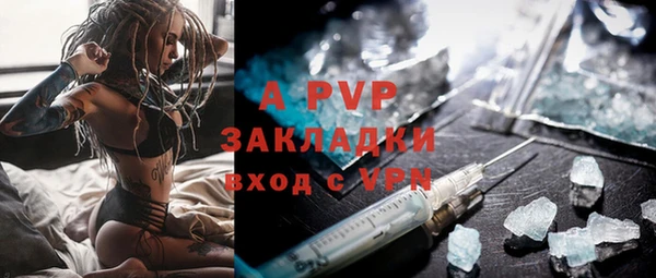 гашик Алексин