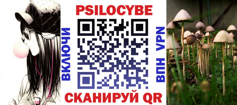 Галлюциногенные грибы Psilocybine cubensis  Динская 